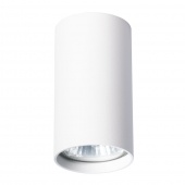 Потолочный светильник Arte Lamp  UNIX A1516PL-1WH